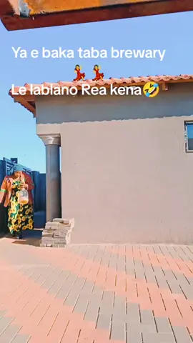 #sesothomusic #Mosadiwamosotho #fyp #fypシ゚viral🖤tiktok #sesothofashioneng 