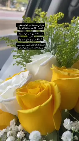 علم الي يحسبنا عن الواجب نغيب  ‏الحمول الكايده ماخلقنا الا لها  ‏#مساء_الخير #شيلات_روعه_خواطر_ذوق #مهنا_العتيبي #خواطر #شعر #اكسبلور #foryoupage #fyp #foryou #حياكم #حسابي #لايك #متابعه #ترند #ملكة_الذوق #malika16163 
