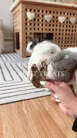 Make some homemade hay-based rabbit treats with me 🐰 Ingredients: • 75g Hay • Handful of Coriander (or any other herbs) • 1 Banana Method • Blend hay until it is as small as possible (I did this in 3 batches in my blender) • Blend a handful of coriander & 1 banana with a little water • Add to your hay & mix together, gradually adding more water until you have a mixture that is moist but sticks together • Line your dehydrating rack with baking paper. You can either roll into balls or press the mixture into a cookie cutter (make sure it’s packed as tightly as possible) • My treats took 9 hours to dehydrate on 60° as they are quite thick, but keep checking every couple of hours until they are completely dry. If you don’t have a dehydrator you can also dry out in an oven if you can get the temperature to around 60° • Store in an airtight container, they can last a couple of months as long as they are dried out thoroughly. Enjoy! 🐰 #rabbittreats #bunnytok #rabbitdiet #bunnytreats #rabbitfood #indoorbunny #bunnycare #bunnies 