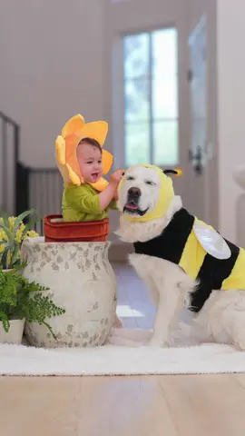Lady’s head rest🥹🐝🌼 #babyanddog #dogphotography #babyphotography #dogsoftiktok 
