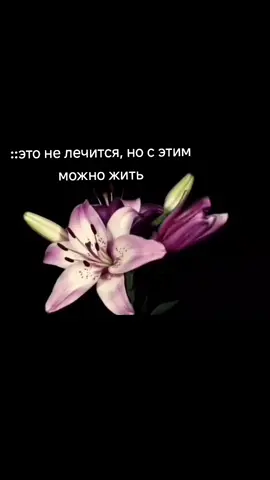 -тгк гн3л44 #сайя #акупаки #мысли #музыка #репост #я #цветы 