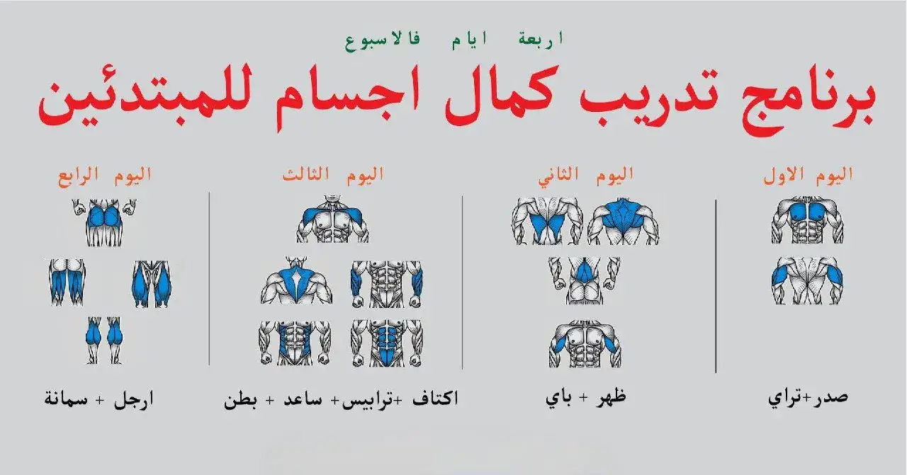 #capcut  برنامج تدريب اربع ايام في الأسبوع للمبتدئين 