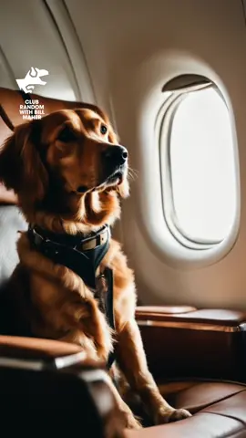 Bill Burr Prefers Flying Commercial Than Private Jets From Club Random with Bill Maher, available wherever you get podcasts. #Podcast #BillBurr #BillMaher