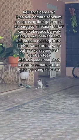 i hate her, but my brother loves her somuch 