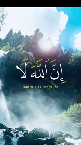 #القران_الكريم بصوتً جميل وتلاوة عطرة #القارئ_محمد_الفقيه @محمد الفقيه 👉 الحساب الوحيد 