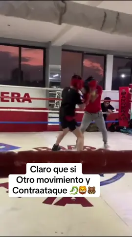 Haciendo sparring 🥊🔥🇲🇽💪🏻🦾 #boxeo #boxing #fypシ゚ #viral #parati #sparring #amateurboxing #foryoupage #fyp #ponmeenparati #like #promesas #teamgladiador 