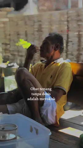 #rokok #pace #bahanswmu #bahanstory 