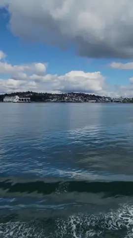 #CapCut #اغنيه_قديمه_يلوموني_حميد منصور #foryoupage #🌹🌹🌹 