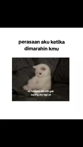 #xyzbca 