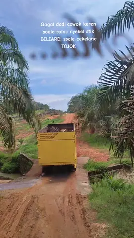 kenek nggo nyodoki silite kancane🤣 #storykuli  #sawittiktok🌴🌴🌴  #kulisawitkuamang 