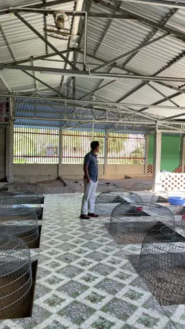 1 combo mà nhận tới 2 phiếu may may mắn lận nha AE tranh thủ chốt cho mình 1 bộ đi #traigaduyenti #c1 #c2 #c3 #c4 #channuoi #ga 