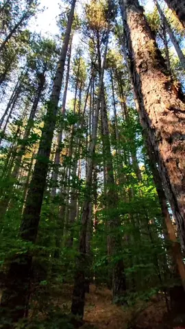 Perspective & Purpose #lightworker #healer #spiritualtiktok #purpose #awakening #spiritualawakening #Love #shadowwork #light #callofduty #perspective #fyp 