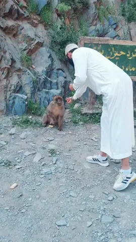 #دعاء   اللهم ارزقني زوجة صالحة، واجعلني زوجاً صالحاً،  اللهم إرزقني الزوجة الصالحة التي إن أمرتها أطاعتني وإن نظرتُ إليها سرتني وإن أقسمت عليها أبرتني وإن غبت عنها حفظتني في نفسها ومالي🤲🏻 اللهم ارزقنا زوجة صالحة تعيننا في دينِنا 🤲🏻 آمين اجمعين#