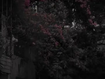 Vẫn là vì anh sai #emkhongsaichungtasai #smvu04 