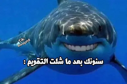 هههههههههههههههههههههههههههههههههههههههههه هههههههههههههههههههه الأصفر في البايو تنورون.. . . #المصمم_رواقه #رواقه#رياكشنات_مضحكه#مقاطع_مضحكة#ترند_تيك_توك#اكسبلور #اكسبلور_explore #fyp#viral 