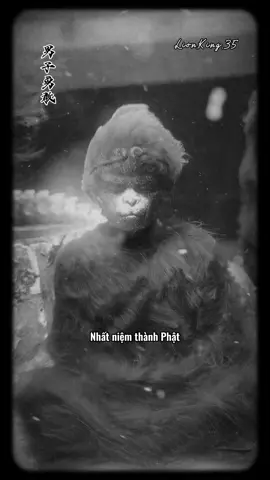 Nhất niệm thành Phật, nhất niệm thành Ma...