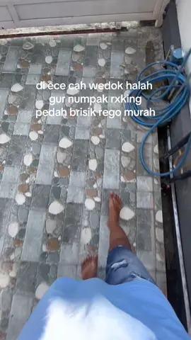nggeh siap murahan🫡🤣 #rxkingindonesia #rxking #rxkingnusantara #fyp #viral #rxking135cc #blayer135cc 