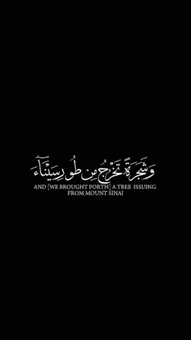 (وشجرة تخرج من طور سيناء) القرآن الكريم📖 شاشة سوداء⚫️ 🍃🤍 ... #وشجرة_تخرج_من_طور_سيناء #تلاوات_خاشعة #ياسر_الدوسري #القران_الكريم #القرانالكريم 