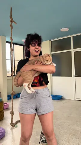 The life of animals in Lebanon! My babies are now safe & waiting to be adopted❤️ Some of them made it & other the damage was too much for their little bodies to handle it! Till when will we accept abuse?  Till when this will only be individual work!? Living in my country became exhausting! Taking care of creature no one cares about, and they don’t let them live a normal life, human think they own everything & they have the right to do whatever they want because the Law doesn’t punish them💔 One day my country will be better! But until this day comes, i meed your help to feed 25 dogs & 55 cats❤️ You can donate ( link in bio) or contact me to find a way to help me help them❤️ #dogs #cats #dogsoftiktok #foryou #fyp #rescue #family #abuse #adoptdontshop #survivor #lebanon 