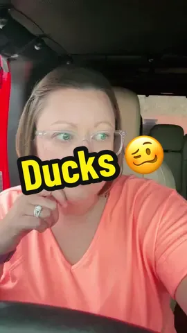 What the duck? 🦆 #jeepwrangler #jeeplife #whattheduck #duckduckjeep #notforme #pennywisethejeep🎈 #whatsyouropinon 
