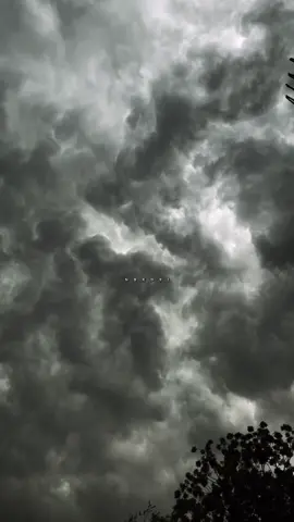 دايم تقول ان المطر لمة احباب#بدون_موسيقى #شيلات #مطر #غيم #ترند #اكسبلور @الدليمي 