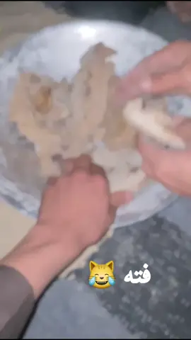 #بدوشمال_سيناء_الشمال  #عبابده_ولينا_في_قمه_المجد_ريات🇪🇬🇸🇩✌🏻👑  #اكسبلور 