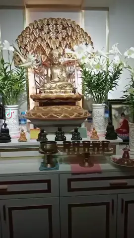 #🌷🙏🙏🙏🌷  #ပြန်လည်မျှဝေဓမ္မဒါနပြုပါသည် 