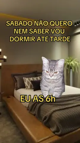 #Meme #MemeCut #meme #gato #gatos #sabado #dormir 