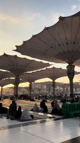 دەوای دەردەكــەم وا لە مەدیـنــە🥹💚🫶🏻  . . #madina #makkah #umrah #quran 