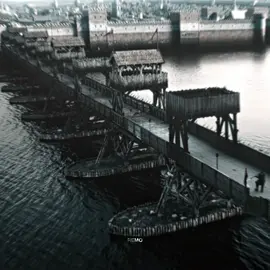 king canute | scp @can | #vikings #vikingsvalhalla #vikingsedit #valhalla #viking #kingcanute #canute 