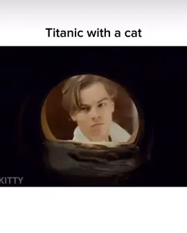 Brilliant idea😅😂🤣🐈‍⬛ #Titanic #Cat #Movie #Funny #ANIMAL #DiCaprio #Brilliant 