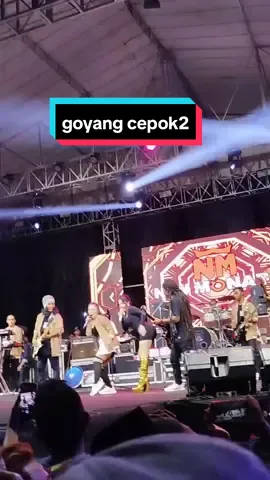 goyang model baru versi lala widy#newmonata #ultahputrabundainul #fyp #ramayanaaudio #lalawidy @lalawidyyyyy @liaameliabp5 