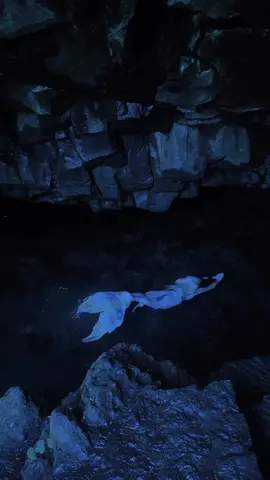 🌚 In a dark and mystical land…#mermaid #mermaidtail #siren #spooky #fantasy #mertok #mermaidtiktok