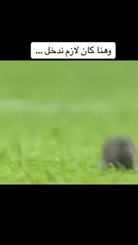 #اكسبلووور #اكسبلورexplore #اكسبلوررررر #اكسبلورر #اكسبلور #السعودية🇸🇦 #النصر #الهلال #كرستيانو_رونالدو #الشعب_الصيني_ماله_حل😂😂 #الرياض #جدة 