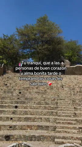 #frases  #frases_de_todo  #viral  #paratii  #parati  #frypgシ 