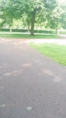 #viralvideo #viraltiktok #foryou #fun#enjoy #walk 