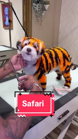 They are victims of at-home grooming 😰 #cutedogs #doggrooming 