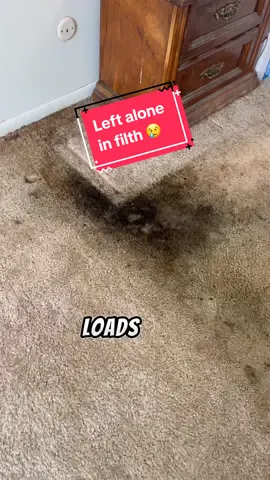 Replying to @cursedchildsupremacy Bro I can't wait to hear what the owner thinks once he see's how clean his home is again!