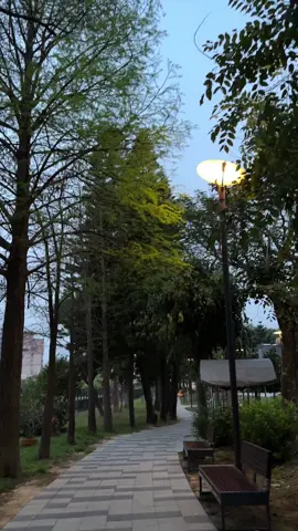 Good morning! ✨🏋️💪 #taiwan🇹🇼 #GymTok #GymLife #gymmmmmmmmmmmmmmm #fitnessmotivation 