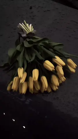 صباحك خير....