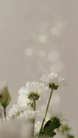 #تهنئة #ام_العريس #ام_محمد #ام_عبدالله #دعوات_الكترونيه #دعوات_زواج_ملكه_شبكه_خطوبه_مواليد_تخرج #تهنئة_زواج #تهنئة_ام_المعرس 