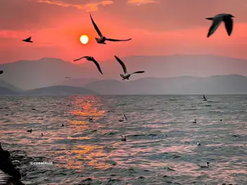 just 'ငါ့ရင်ခွင်ကို'.  #ဇော်ဝင်းထွဋ် #audiosong  #rkarminthu #fyp 