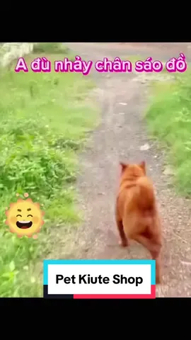 Chú chó nhảy chân sáo 😝😜 #Funnyvideos #petkiuteshop #fyp