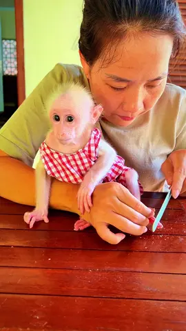 Very Good Momy She Trying Clearnning Lag For Baby PavPav 💥