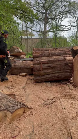 Carving a Nature inspired bench for an amazing school project! 🙏 🦋 #michaeljonescs #woodworking #natureart #artistsoftiktok #chainsaw