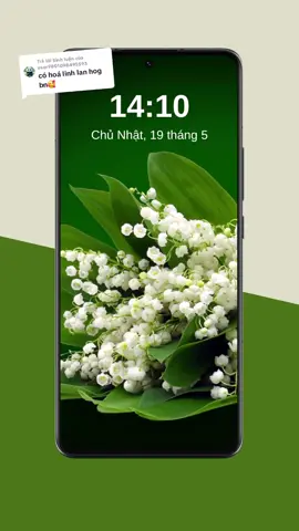 Trả lời @user9801098495593 #hinhnendienthoai #hìnhnền #hinhnendienthoai #lockscreen #hoa #lilyofthevalley 