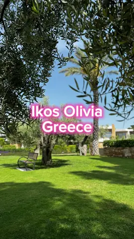 @ikosresorts Ikos Olivia Halkidiki (Greece) The perfect accommodation for your next holiday 🇬🇷☀️🍹👙💃🏼🍽️ #greece #ikos #ikosresorts #halkidiki #fyp #holiday #accomodation 