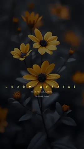 #l_u_c_k_y_official_#bootwadansinhala #bootsongs😣😥🌹🥀🌺 #srilankantiktok #sadstatus #iloveyou #trending #viralvideo #fypシ #Love #bootwadan #newsong #newstatus #100k #foryou #whatsappstatus#music#srilanka#ceylon_tik_tok#alone#2k24 #capcut #capcut_template #templates #lovely #new #newtrend#love 
