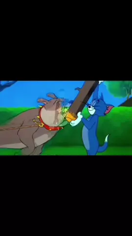 Kimga kerak 3 dona?😂😂😂😂😂#zumrad #ziynat #best #mersedes_benz #brabusg800 #shermuhammedoff #mersedesesgclass63 #shermuhammedoff #ziynat #best 