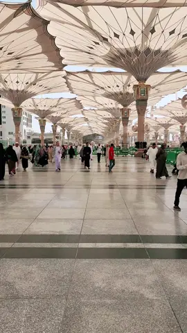 ساحة المسجد النبوي الشريف #المدينة_المنورة #الروضة_الشريفة #المقام_الشريف 